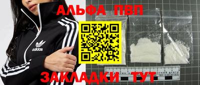 ешки Кингисепп
