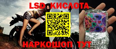 ешки Кингисепп