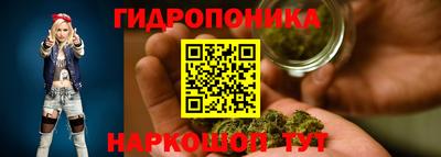 ешки Кингисепп